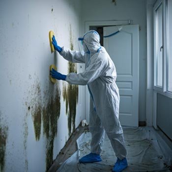 Atlanta Mold Remediation