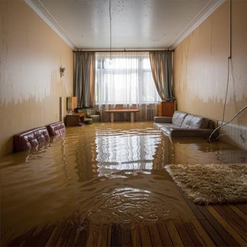 My Atlanta Water Damage Restoration